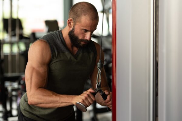 Best Arm Exercises for Building Muscle: A Complete Guide to Bigger, Stronger Arms