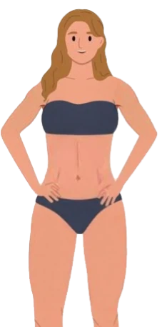 Mesomorph